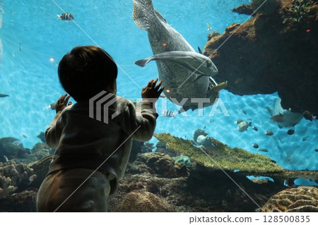 鹿兒島縣鹿兒島市Io World鹿兒島水族館 128500835