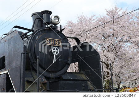 New steam locomotive along the cherry blossom-filled railway line 128500847