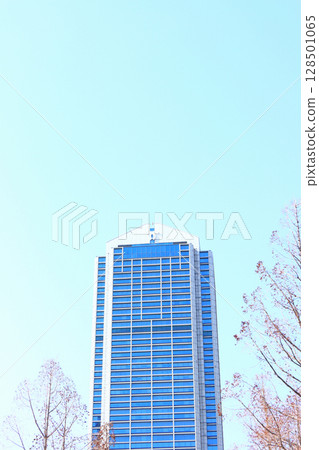 兵庫縣神戶市神戶市政廳風景 128501065