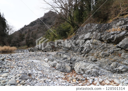 Miya's reversal layer 128501314