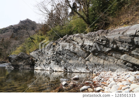 Miya's reversal layer 128501315