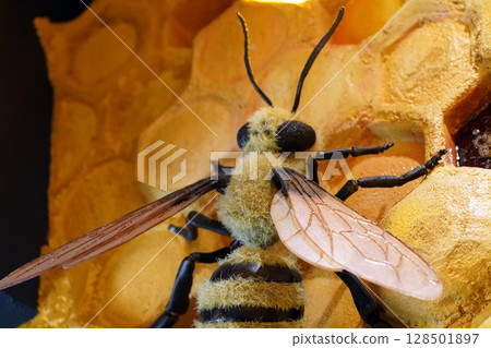 逼真的蜜蜂模型:蜂蠟和蜂蜜質地 逼真的蜜蜂模型:蜂蠟和蜂蜜質地 128501897
