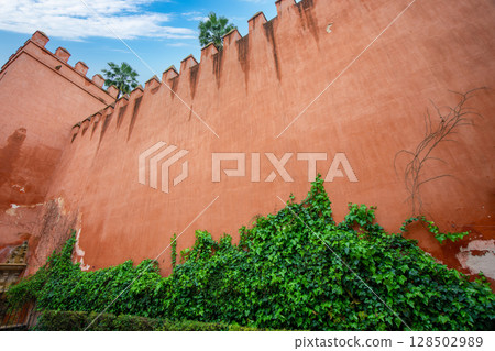 Sevilla Alcazar Walls with Ivy and Blue Sky View. Sevilla Alcazar Walls with Ivy and Blue Sky View. 128502989