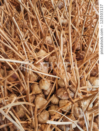 Dry garlic bulbs resting on straw in a market stall, ready for sale Dry garlic bulbs resting on straw in a market stall, ready for sale 128503137