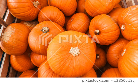 Orange pumpkins filling a wooden crate at farmers market Orange pumpkins filling a wooden crate at farmers market 128503153