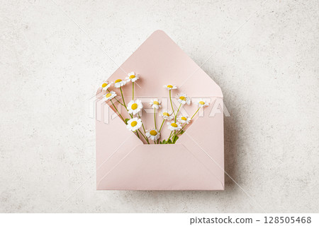 Daisy chamomile flowers in beige pink envelope 128505468
