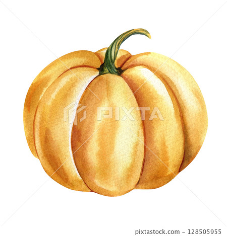 Orange pumpkin with green stem watercolor illustration for fall decor harvest designs Ideal for autumn decor, seasonal projects Orange pumpkin with green stem watercolor illustration for fall decor harvest designs Ideal for autumn decor, seasonal projects 128505955