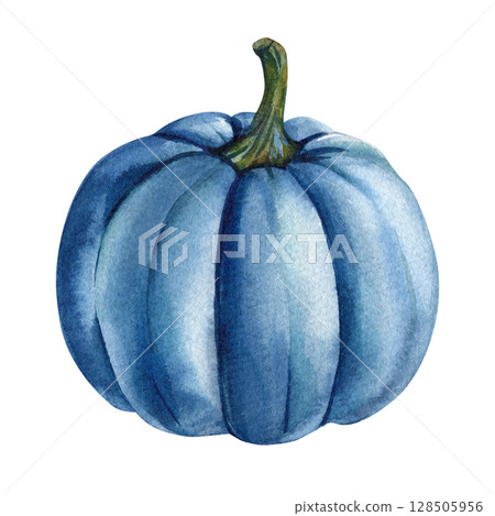 Blue pumpkin with green stem watercolor autumn harvest illustration botanical natural harvest Blue pumpkin with green stem watercolor autumn harvest illustration botanical natural harvest 128505956