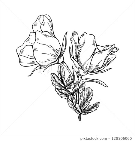 Two blooming flowers vector illustration painted by black inks. Wildflowers rosehip bouquet etching drawing for herbal product packaging, romantic wedding stationery, vintage holiday, invitation. 128506060
