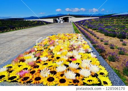 Landscape with flower water 128506170