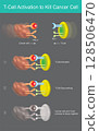 T-Cell Activation and Cancer Cell Killing. Illustrates the process of T-cell activation to target and kill a cancer cell, including a mechanism of cancer immune evasion. 128506470