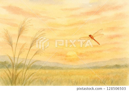 夕陽、紅蜻蜓、紫芒 128506503
