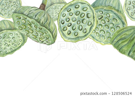 Green lotus seedpods horizontal watercolor frame isolated background. Tropical aquatic plants illustration. Water Lily pods border for cosmetic, food decor, invitations, packaging, Space for text. Green lotus seedpods horizontal watercolor frame isolated background. Tropical aquatic plants illustration. Water Lily pods border for cosmetic, food decor, invitations, packaging, Space for text. 128506524