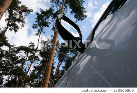 Bottom view of a car mirror in the middle of tall pines Bottom view of a car mirror in the middle of tall pines 128506869