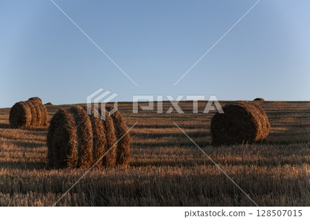 Sunset over a harvested wheat field with round hay bales. Soft golden light and a clear sky create a calm and rustic rural landscape. Sunset over a harvested wheat field with round hay bales. Soft golden light and a clear sky create a calm and rustic rural landscape. 128507015