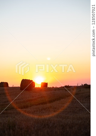 Round hay bales in a wheat field at sunset with bright sun on the horizon and beautiful lens flare, creating a warm, calm, and idyllic rural landscape 128507021