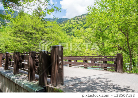 Kamikochi in early summer [Vivid fresh greenery around Tashiro Bridge] 128507188