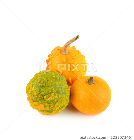 Pumpkin isolated on a white background. 128507346