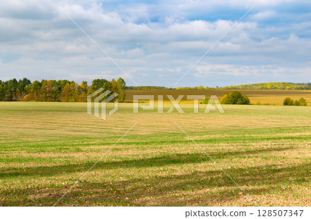 Harvested Fields and meadows landscape. Harvested Fields and meadows landscape. 128507347