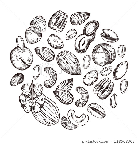 Round composition of macadamia nuts, pecans, walnuts, cashews, almonds, peanuts, hazelnuts. All objects are hand-drawn in vector. For printing on food packaging, paper, fabric.  128508303
