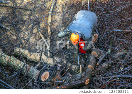 A city municipal service worker removes and saws cut tree branches in the courtyard of an apartment building A city municipal service worker removes and saws cut tree branches in the courtyard of an apartment building 128508311