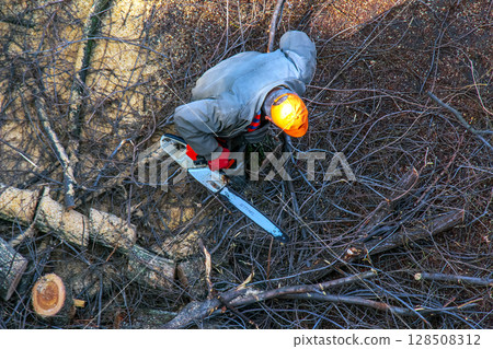 A city municipal service worker removes and saws cut tree branches in courtyard of apartment building A city municipal service worker removes and saws cut tree branches in courtyard of apartment building 128508312