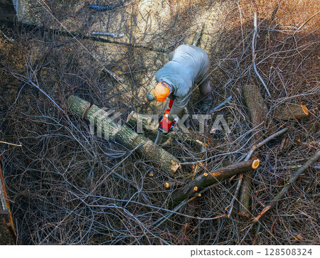 A city municipal service worker removes and saws cut tree branches in the courtyard of apartment building. View from above. A city municipal service worker removes and saws cut tree branches in the courtyard of apartment building. View from above. 128508324