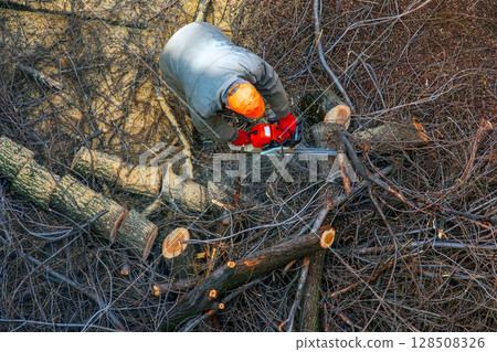 A city municipal service worker removes and saws cut tree branches in courtyard of apartment building. View from above. A city municipal service worker removes and saws cut tree branches in courtyard of apartment building. View from above. 128508326