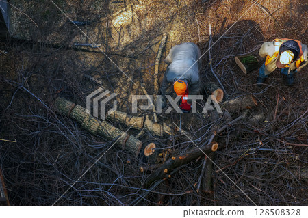 City municipal service worker removes and saws cut tree branches in courtyard of apartment building. View from above City municipal service worker removes and saws cut tree branches in courtyard of apartment building. View from above 128508328