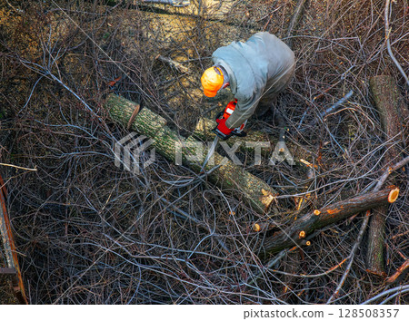 City municipal service worker saws and removes cut tree branches in courtyard of an apartment building. 128508357