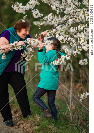 Grandmother and granddaughter enjoying spring blossoms. A heartwarming moment of connection amidst nature's beauty. Grandmother and granddaughter enjoying spring blossoms. A heartwarming moment of connection amidst nature's beauty. 128508451