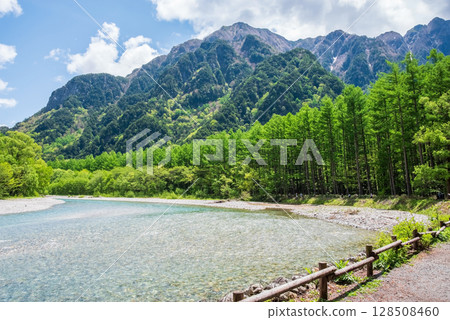 Fresh greenery in Kamikochi "Larch forest and Mt. Rokuhyaku" Fresh greenery in Kamikochi "Larch forest and Mt. Rokuhyaku" 128508460