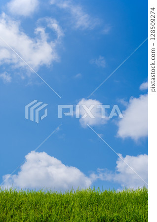 "Landscape/Background Material" Refreshing summer blue sky and grassland "Landscape/Background Material" Refreshing summer blue sky and grassland 128509274