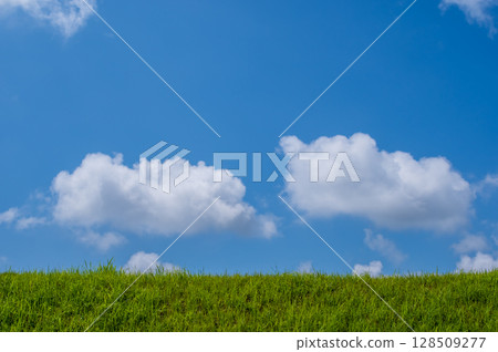 「風景/背景素材」清爽的夏日藍天與草地 「風景/背景素材」清爽的夏日藍天與草地 128509277