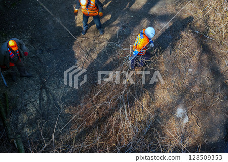 Dnipro, Ukraine - March 20, 2024: A City municipal service workers remove and saw cut tree branches in courtyard of an apartment building. Dnipro, Ukraine - March 20, 2024: A City municipal service workers remove and saw cut tree branches in courtyard of an apartment building. 128509353