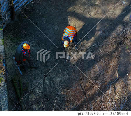 Dnipro, Ukraine - March 20, 2024:A City municipal service workers remove and saw cut tree branches in courtyard of apartment building. View from above. Dnipro, Ukraine - March 20, 2024:A City municipal service workers remove and saw cut tree branches in courtyard of apartment building. View from above. 128509354