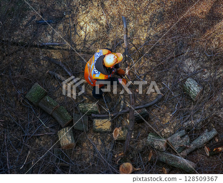 Dnipro, Ukraine - March 20, 2024: City municipal service worker remove and saw cut tree branches in courtyard of an apartment building. View from above. 128509367