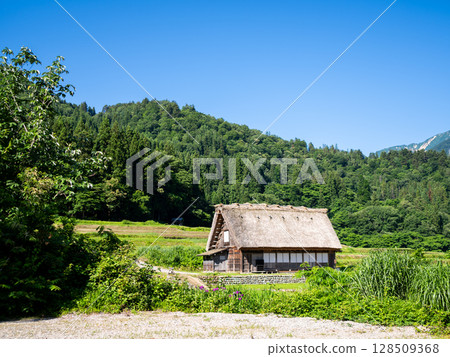 【白川鄉】夏日合掌村漫步 128509368