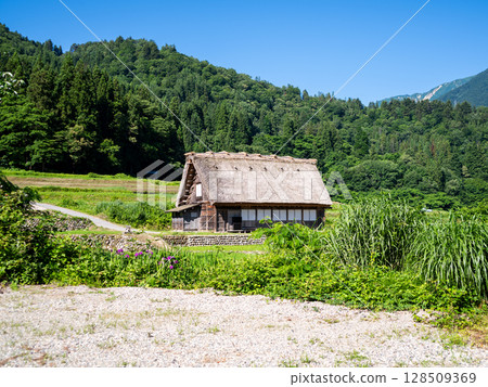 【白川鄉】夏日合掌村漫步 128509369