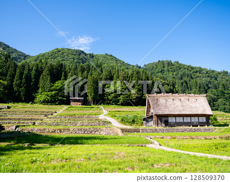 【白川鄉】夏日合掌村漫步 128509370