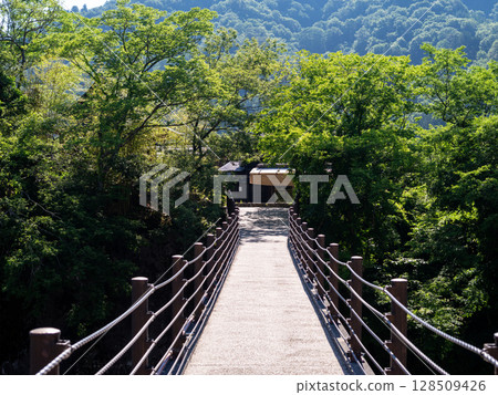 [Shirakawa-go] Walking around the Gassho-style village in summer 128509426