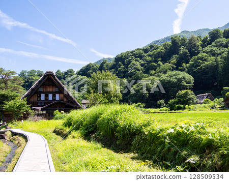 [Shirakawa-go] Walking around the Gassho-style village in summer 128509534