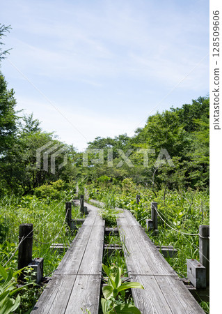 Nasushiobara City Numappara Marsh Landscape with boardwalk 128509606