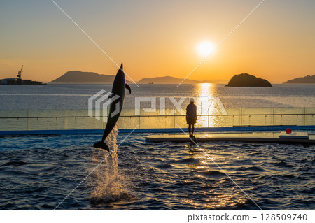 Dusk dolphin show Dusk dolphin show 128509740