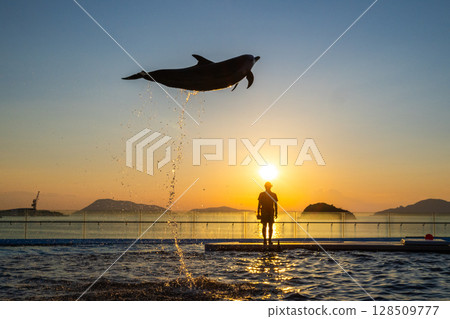 黃昏海豚表演 128509777