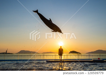 黃昏海豚表演 128509779