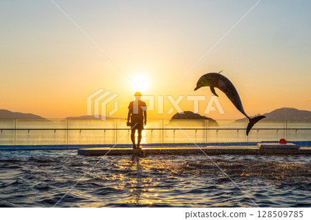 Dusk dolphin show 128509785