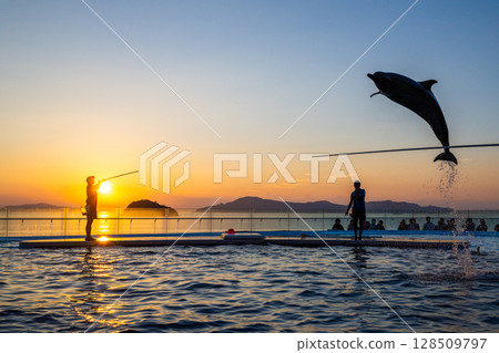 Dusk dolphin show Dusk dolphin show 128509797