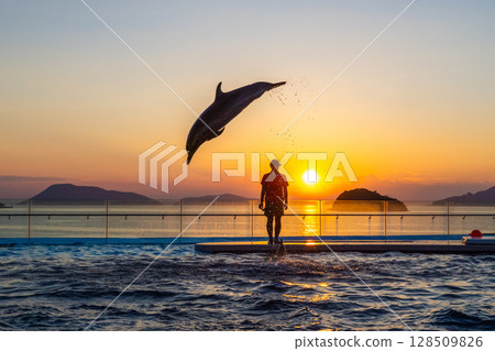 Dusk dolphin show Dusk dolphin show 128509826
