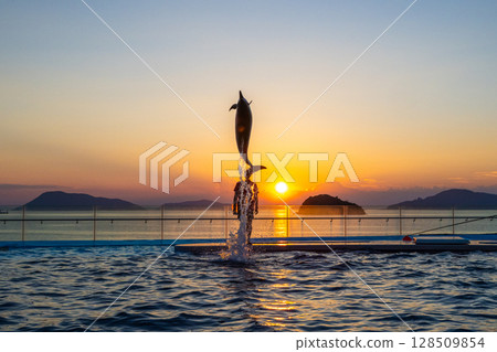 Dusk dolphin show Dusk dolphin show 128509854